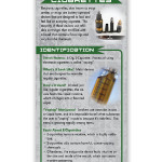 electronic cigarette electronic cigarette