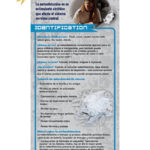 RACK-JTF-09S Meth UPDATED 2025 WEB FILE