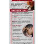 Ritalin-front Ritalin-front