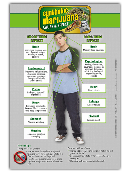 Synthetic Marijuana Cause & Effect Mini Poster
