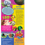 BAN-SSDA-15-Hallucinogens-STAND